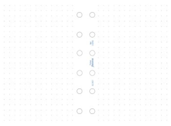 Immagine di L132561 - FOGLI DOTTED POCKET